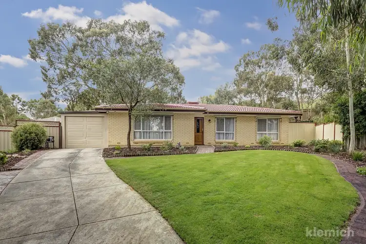 Main view of Homely house listing, 13 Bluegum Court, Athelstone SA 5076