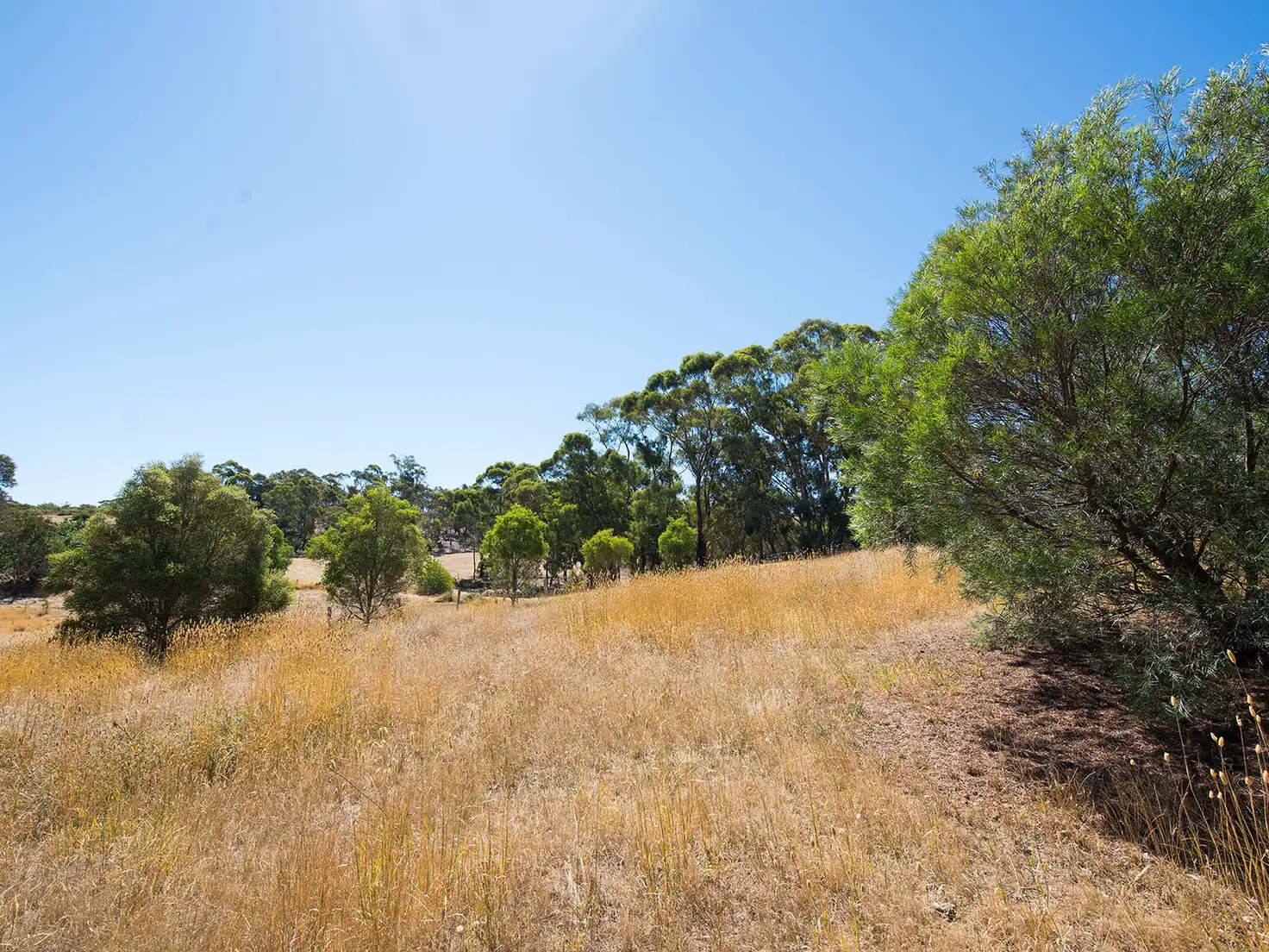 Main view of Homely land listing, LOT 4, 52 Princess Street, Campbells Creek VIC 3451