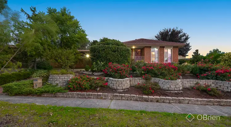 16 Shetland Street, Endeavour Hills VIC 3802