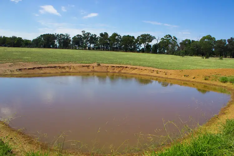 Main view of Homely rural property listing, 6168 Burley Griffin Way, Temora NSW 2666