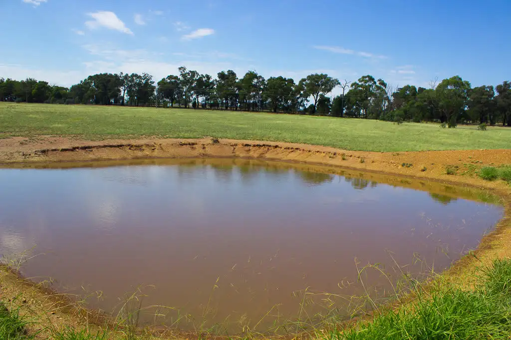 Main view of Homely rural property listing, 6168 Burley Griffin Way, Temora NSW 2666