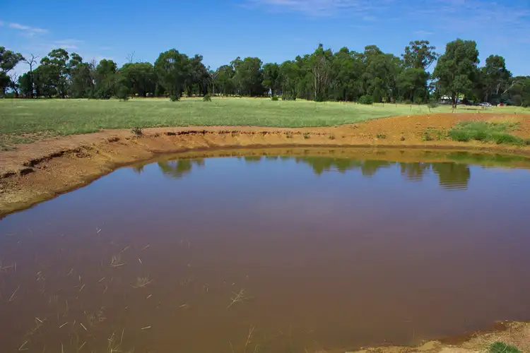 Second view of Homely rural property listing, 6168 Burley Griffin Way, Temora NSW 2666