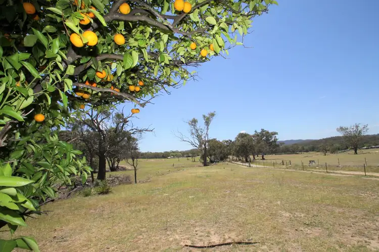 Fourth view of Homely rural property listing, LOT 162 & 77 Windgraves Road, Mudgee NSW 2850