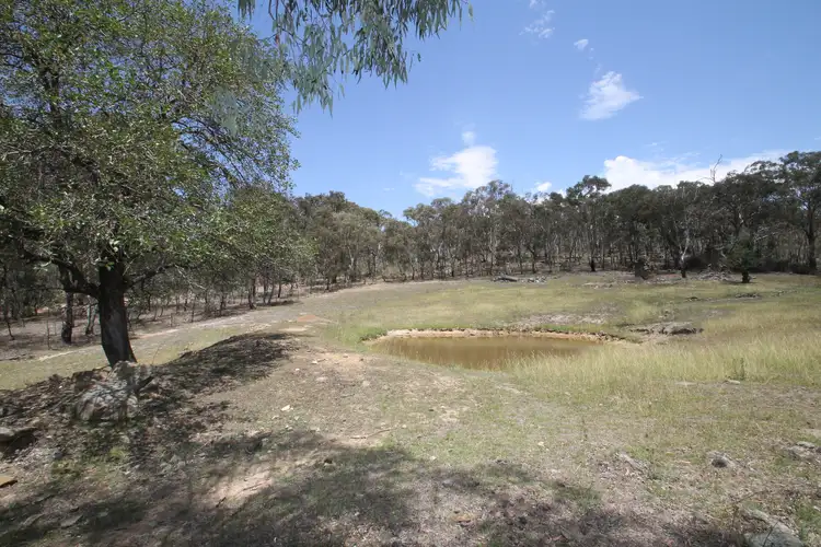 Fifth view of Homely rural property listing, LOT 162 & 77 Windgraves Road, Mudgee NSW 2850