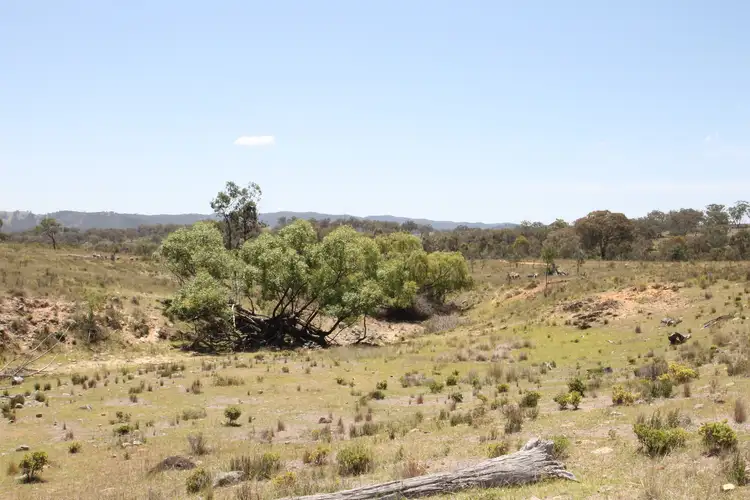 Fifth view of Homely rural property listing, LOT 47 Windgraves Road, Mudgee NSW 2850