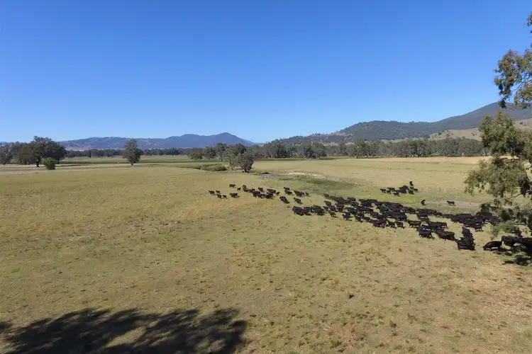 Seventh view of Homely rural property listing, River Road, Welaregang NSW 2642