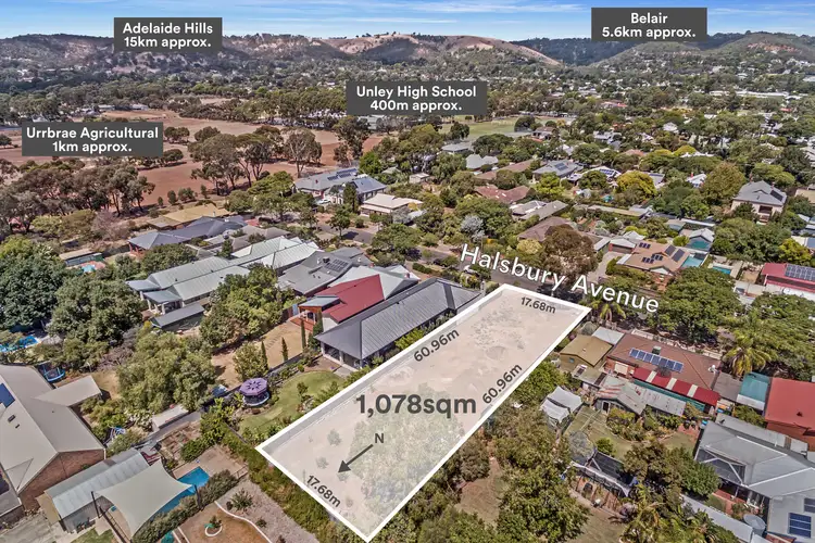 51 Halsbury Avenue, Kingswood SA 5062