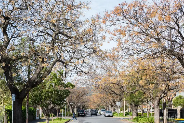 Third view of Homely land listing, 51 Halsbury Avenue, Kingswood SA 5062