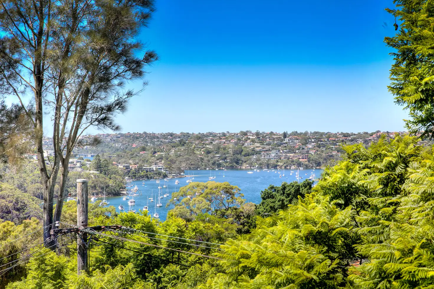 Main view of Homely house listing, 5 Stratford Street, Cammeray NSW 2062