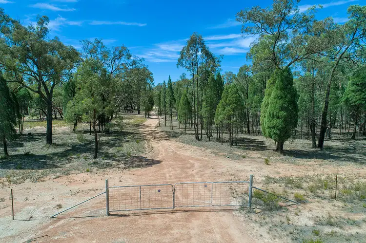 Main view of Homely rural property listing, 231 Springwood Park Road, Gulgong NSW 2852