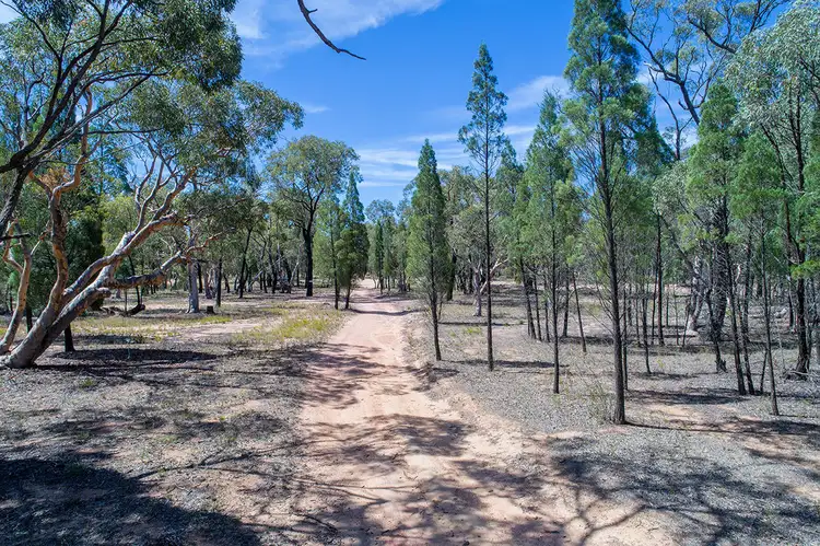 Second view of Homely rural property listing, 231 Springwood Park Road, Gulgong NSW 2852