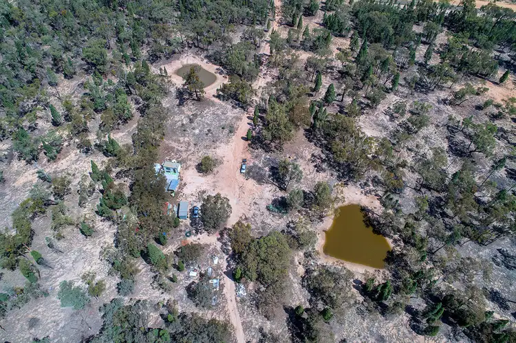 Third view of Homely rural property listing, 231 Springwood Park Road, Gulgong NSW 2852