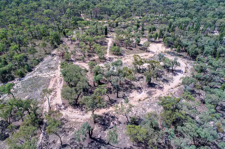 Fifth view of Homely rural property listing, 231 Springwood Park Road, Gulgong NSW 2852