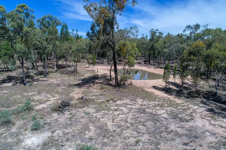 Seventh view of Homely rural property listing, 231 Springwood Park Road, Gulgong NSW 2852