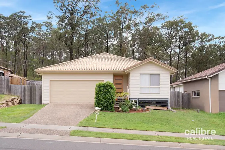 14 Guerin Court, Collingwood Park QLD 4301