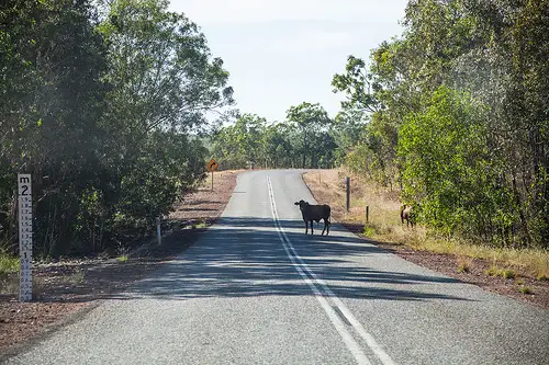Sixth view of Homely rural property listing, 195 Crater Lake Road, Batchelor NT 845