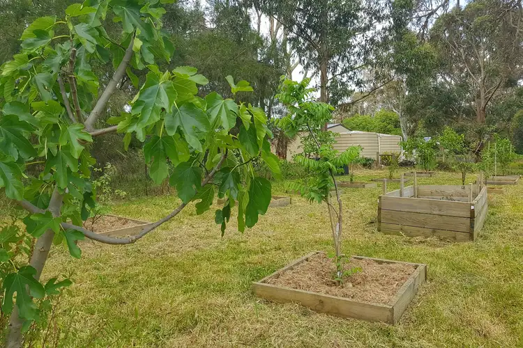 Third view of Homely land listing, 18 Railway Terrace, Kalangadoo SA 5278