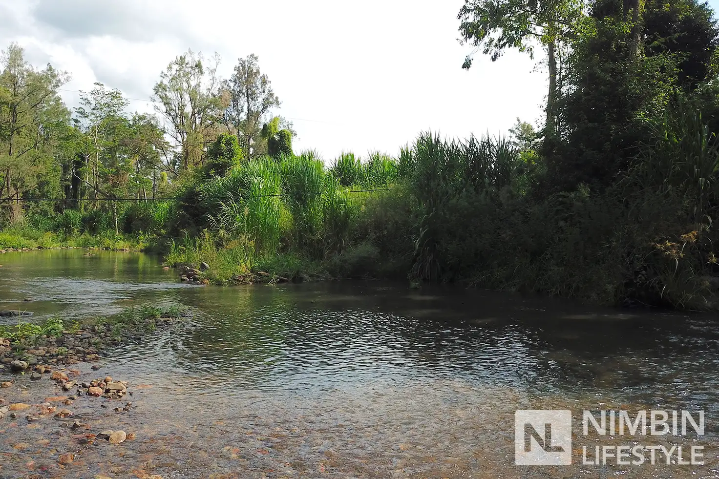 Main view of Homely rural property listing, 312 Gungas Road, Nimbin NSW 2480