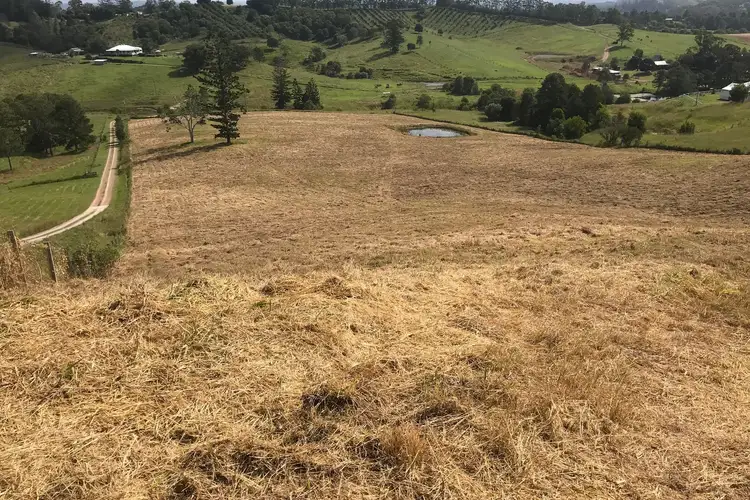 Main view of Homely rural property listing, 19 Happy Jack Creek Road, Ridgewood QLD 4563