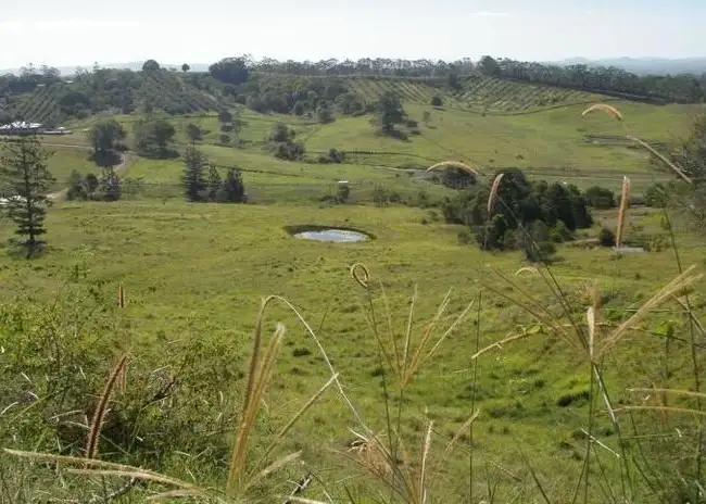Fourth view of Homely rural property listing, 19 Happy Jack Creek Road, Ridgewood QLD 4563