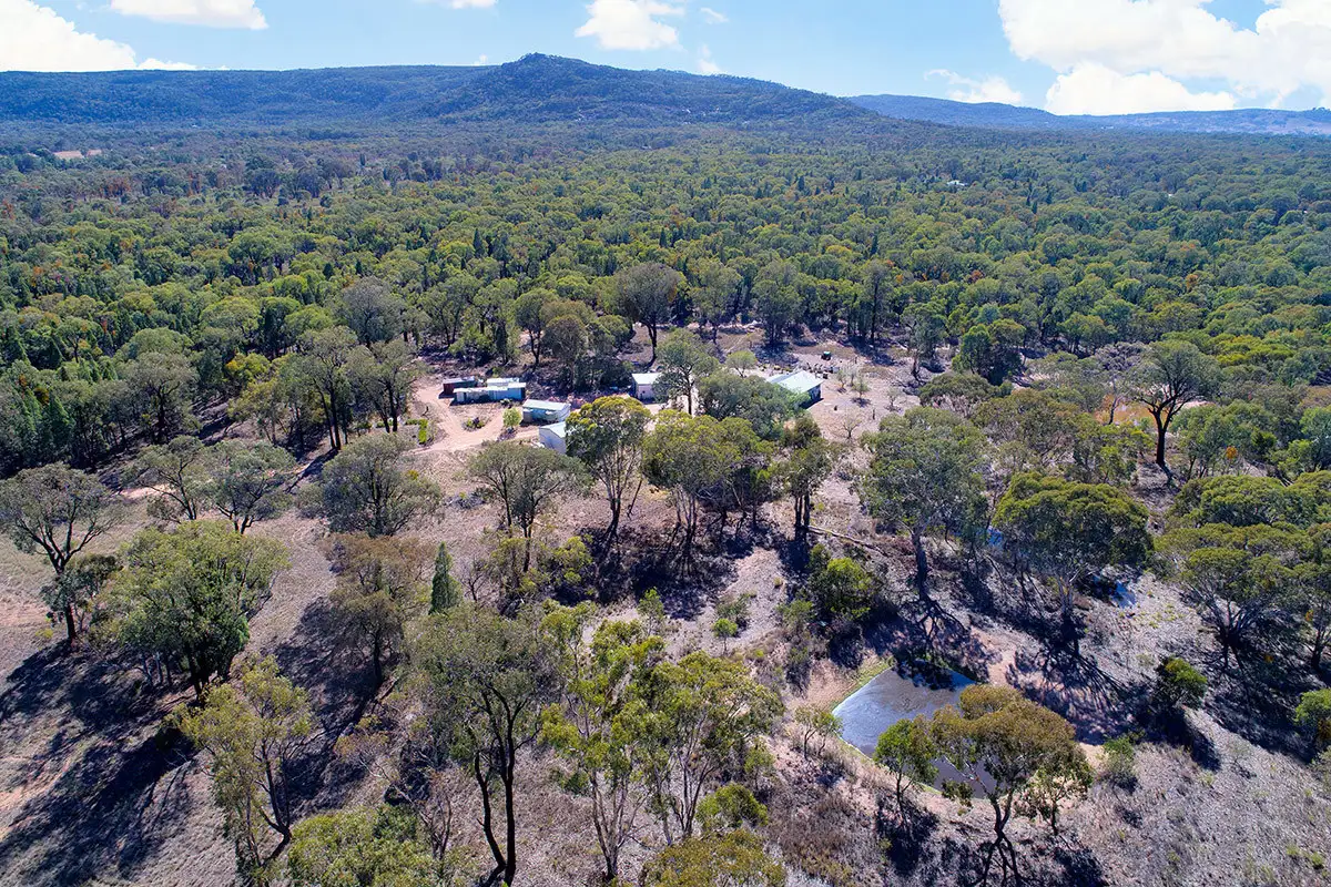 Main view of Homely rural property listing, 701 Cypress Drive, Mudgee NSW 2850