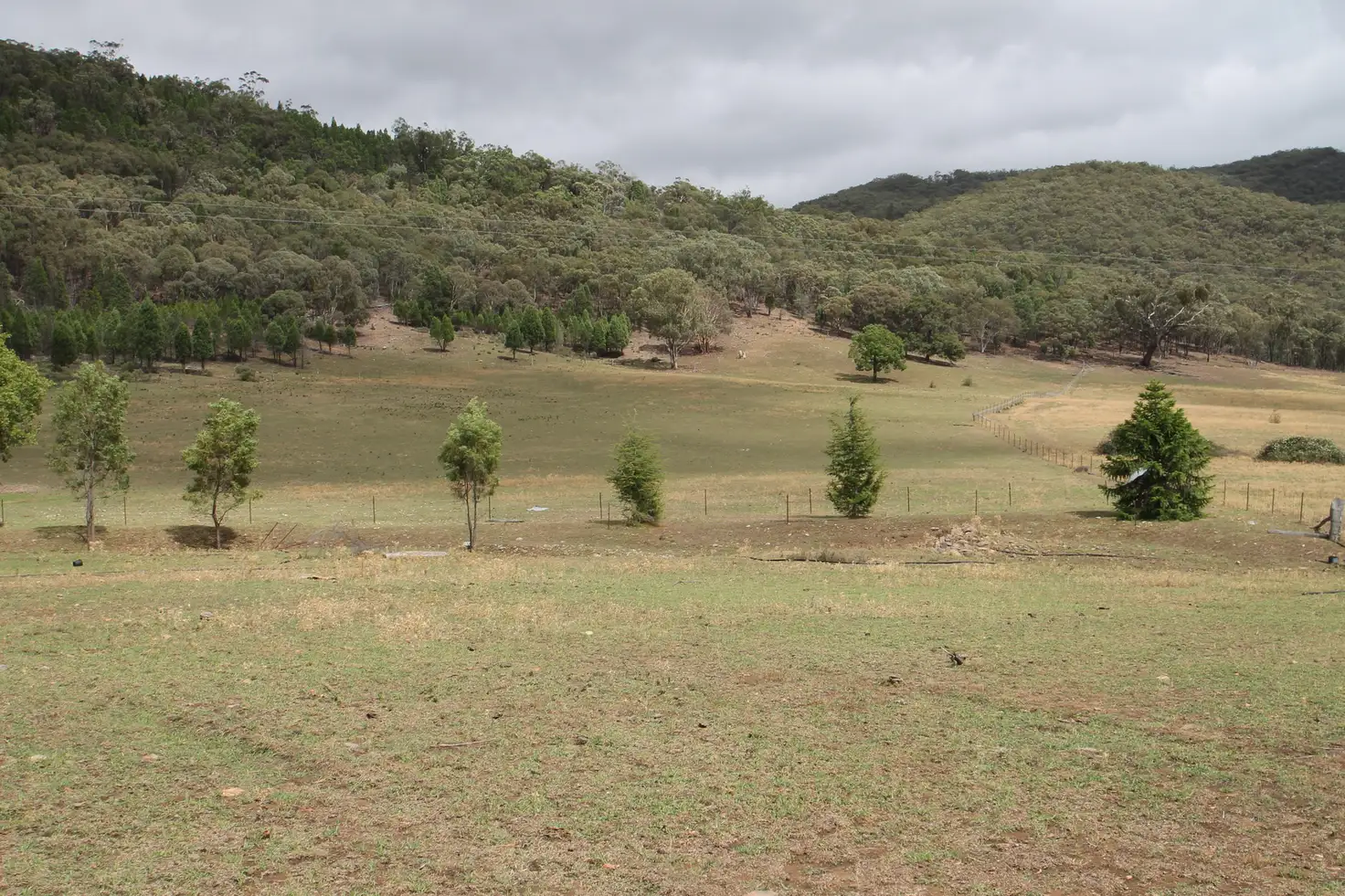 Main view of Homely rural property listing, 686 Buckaroo Road, Mudgee NSW 2850