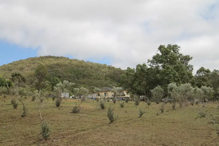 Third view of Homely rural property listing, 686 Buckaroo Road, Mudgee NSW 2850