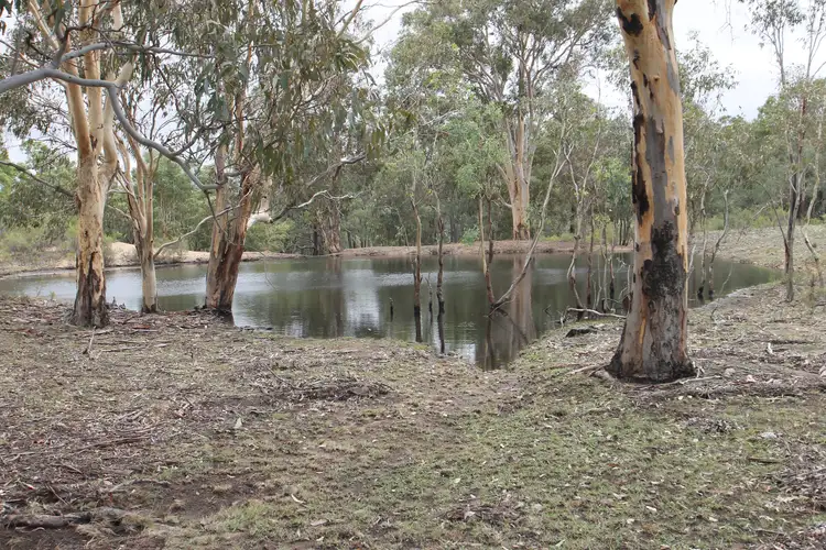 Seventh view of Homely rural property listing, 686 Buckaroo Road, Mudgee NSW 2850