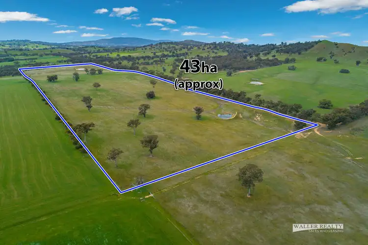 Third view of Homely rural property listing, Cnr Mt Gaspard & Reids Road, Ravenswood VIC 3453