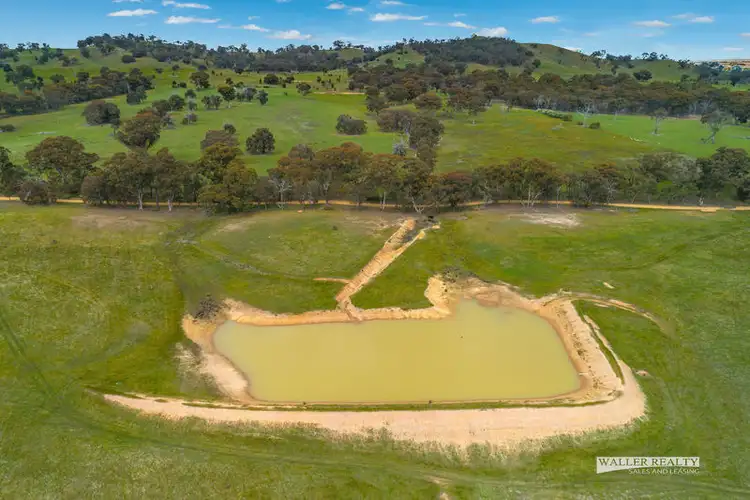 Sixth view of Homely rural property listing, Cnr Mt Gaspard & Reids Road, Ravenswood VIC 3453
