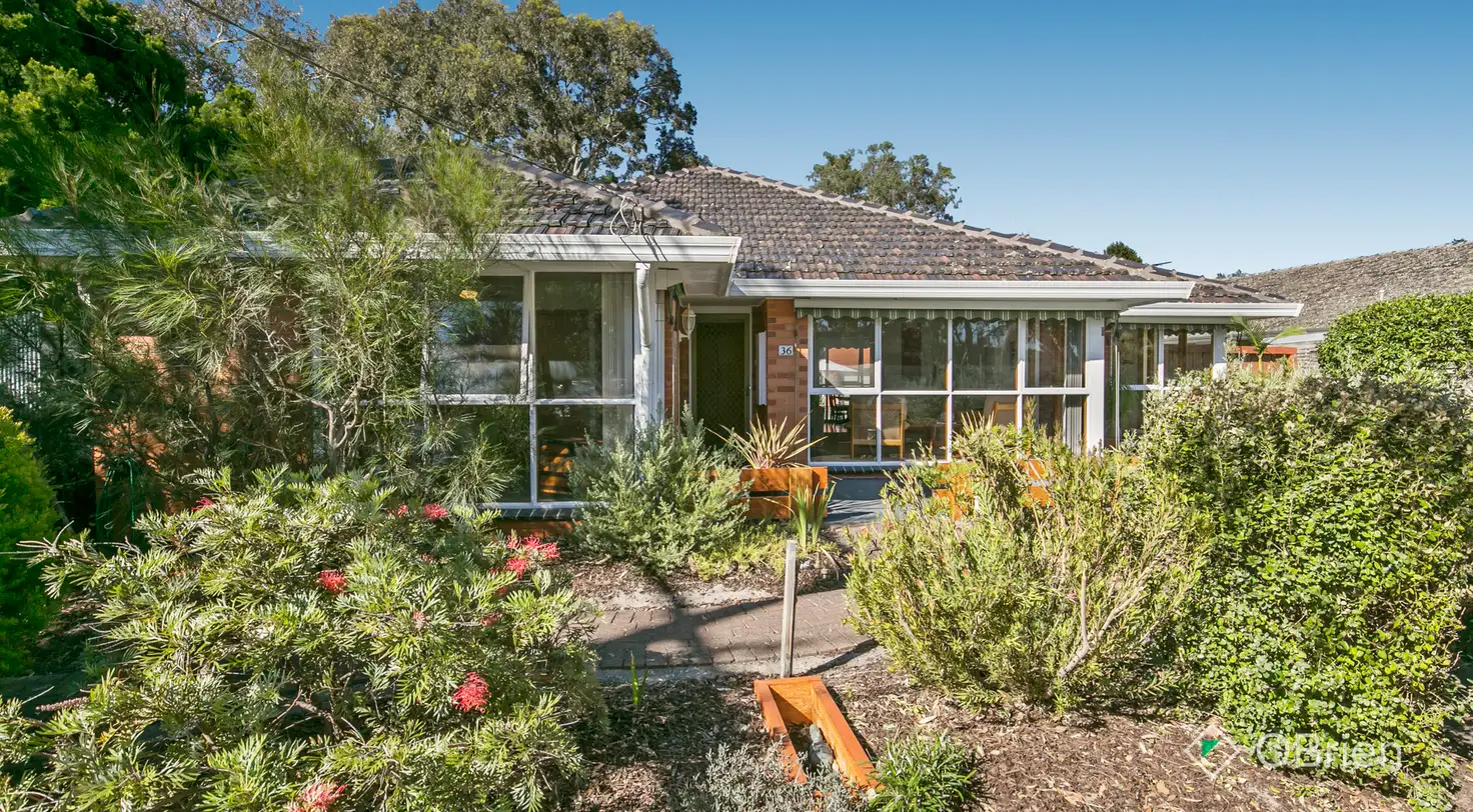 Main view of Homely house listing, 36 McCulloch Avenue, Seaford VIC 3198
