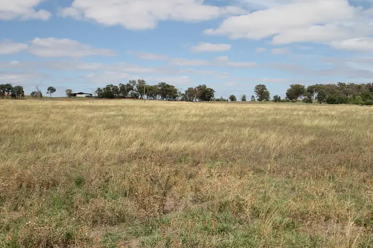 Main view of Homely rural property listing, 136 Bergalin Road, Gulgong NSW 2852