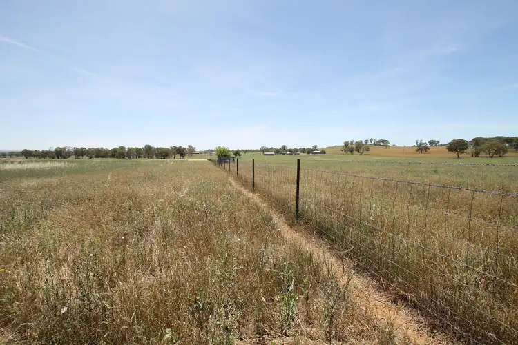 Fourth view of Homely rural property listing, 136 Bergalin Road, Gulgong NSW 2852