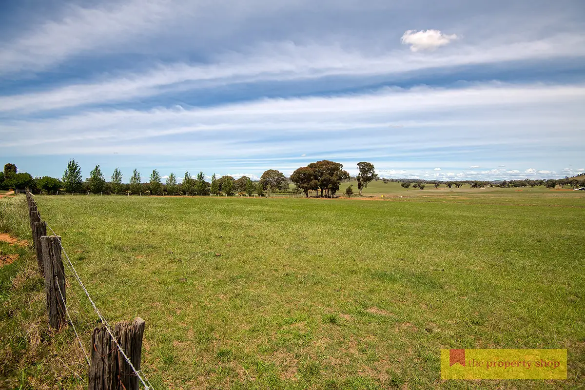 Main view of Homely rural property listing, 42 Zimmler Lane, Gulgong NSW 2852