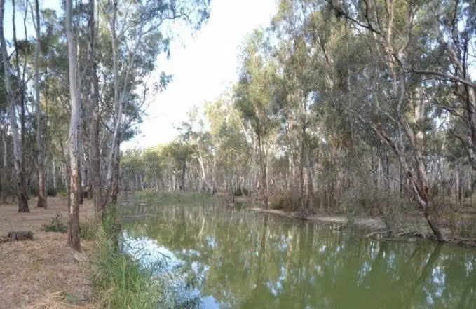 Second view of Homely rural property listing, 48 Moama Street, Mathoura NSW 2710