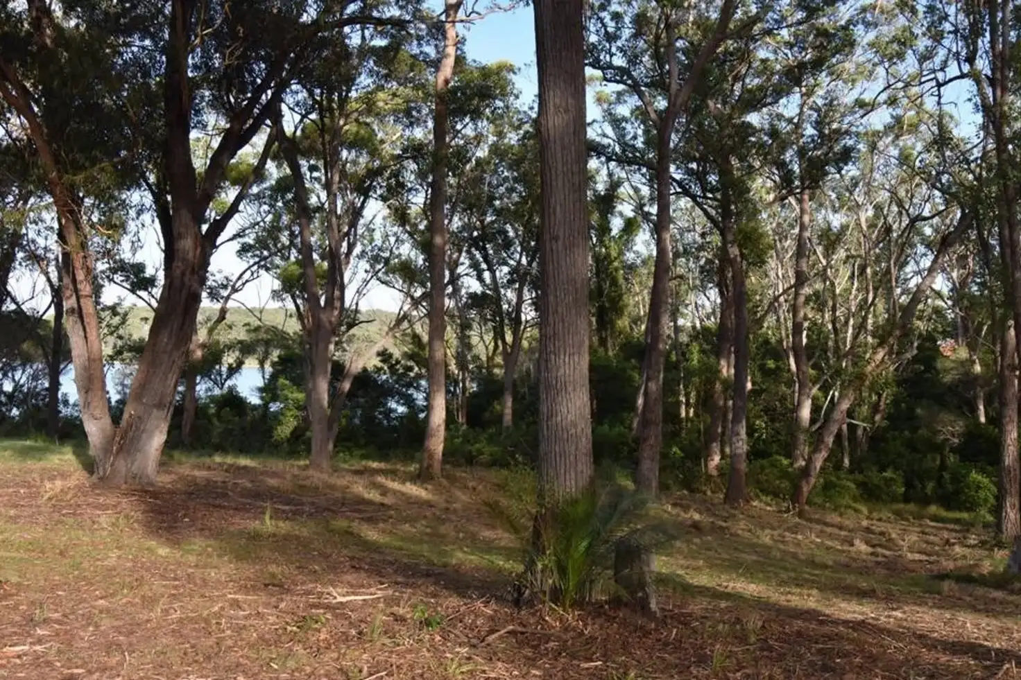 Main view of Homely land listing, 27 Endeavour Drive, Wallaga Lake NSW 2546