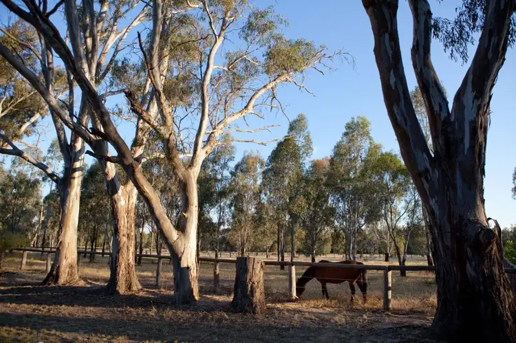 Fourth view of Homely land listing, 4 (POS Lot, 6 Cadell Street, Moama NSW 2731