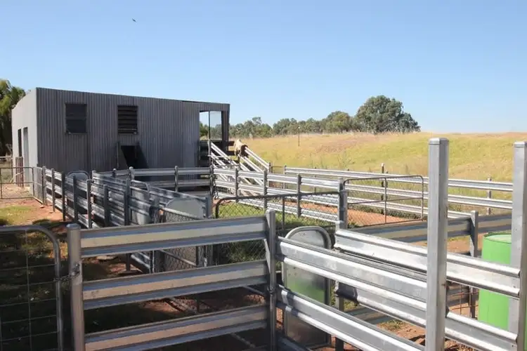 Seventh view of Homely house listing, 83 Woolshed Road, Finley NSW 2713