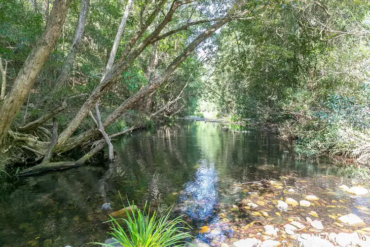 Fifth view of Homely rural property listing, 312 Eight Mile Creek Road, Wittitrin NSW 2440