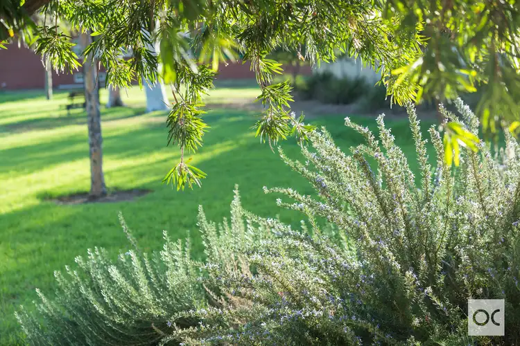 Fifth view of Homely house listing, 20 Everritt Avenue, Fulham Gardens SA 5024