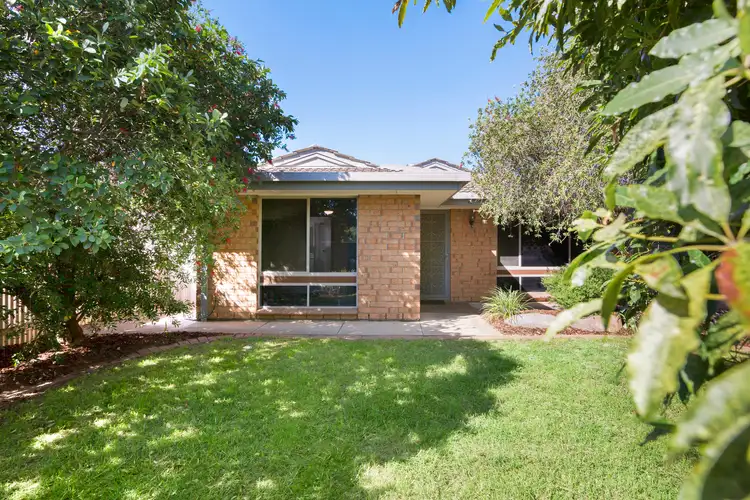 4 Celtic Avenue, Clovelly Park SA 5042