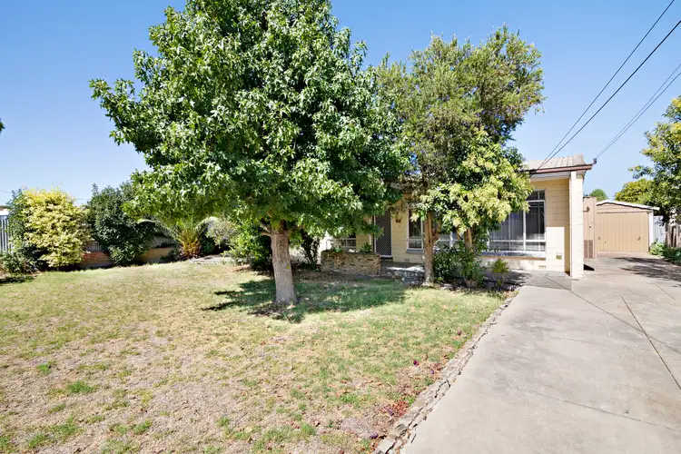 42 Jervois Street, South Plympton SA 5038