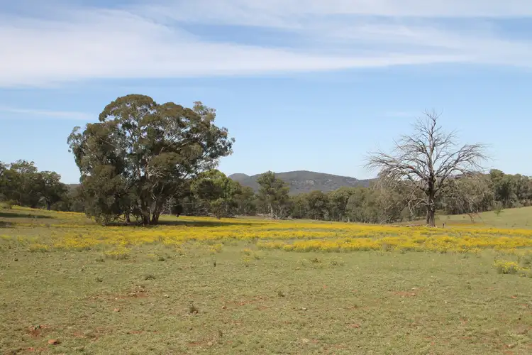 Third view of Homely rural property listing, 4066 Bylong Valley Way, Rylstone NSW 2849