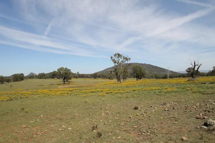 Fifth view of Homely rural property listing, 4066 Bylong Valley Way, Rylstone NSW 2849