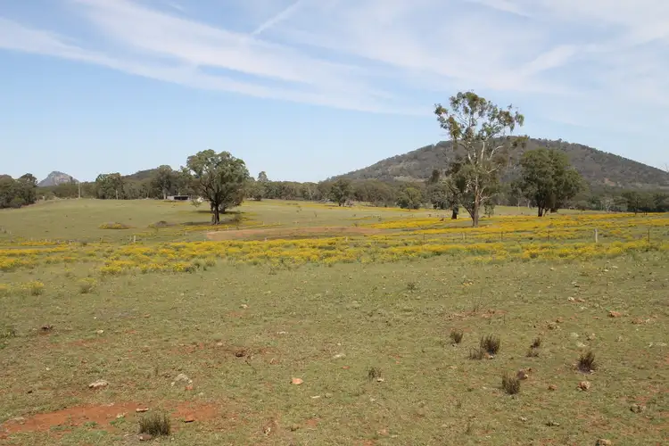 Sixth view of Homely rural property listing, 4066 Bylong Valley Way, Rylstone NSW 2849