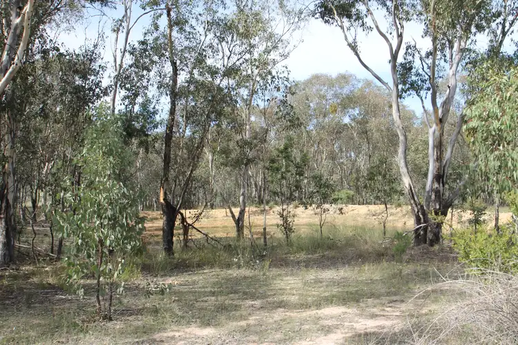 Seventh view of Homely rural property listing, 4066 Bylong Valley Way, Rylstone NSW 2849
