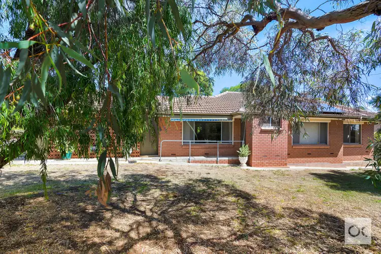 17 Mann Street, Seacliff Park SA 5049