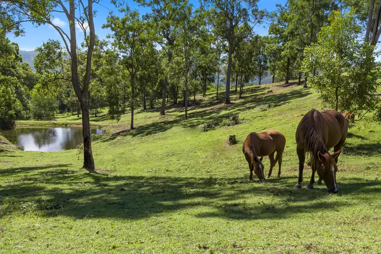 Fifth view of Homely house listing, 278 Mount Pleasant Road, Mount Pleasant QLD 4521