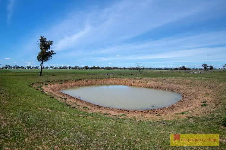 Third view of Homely rural property listing, 82 Nugget Lane, Gulgong NSW 2852