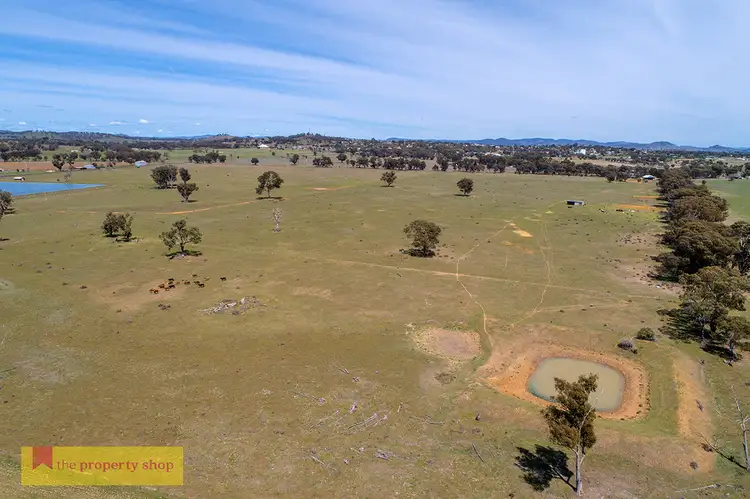 Fifth view of Homely rural property listing, 82 Nugget Lane, Gulgong NSW 2852